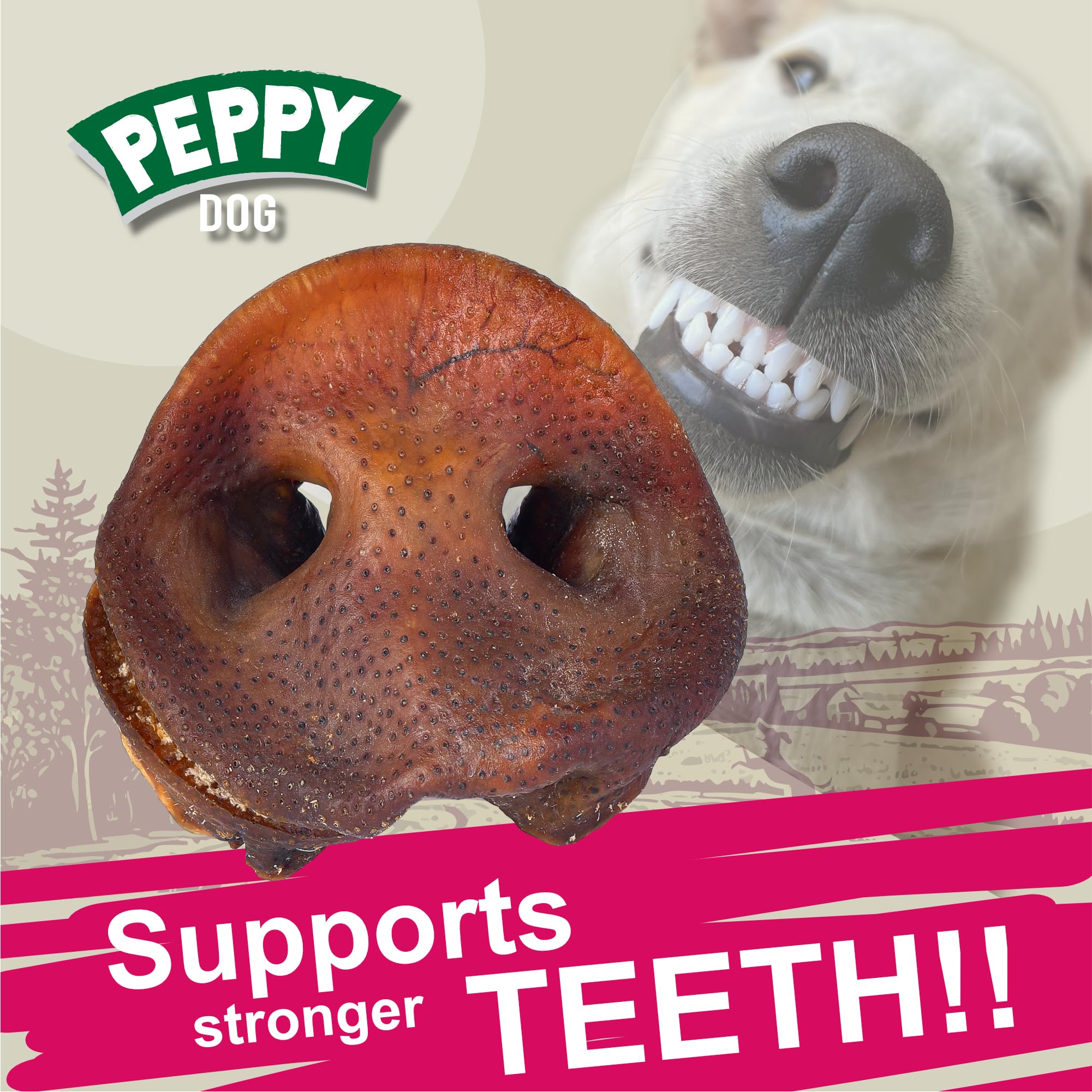 Perro masticando hocicos de cerdo, Peppy Dog