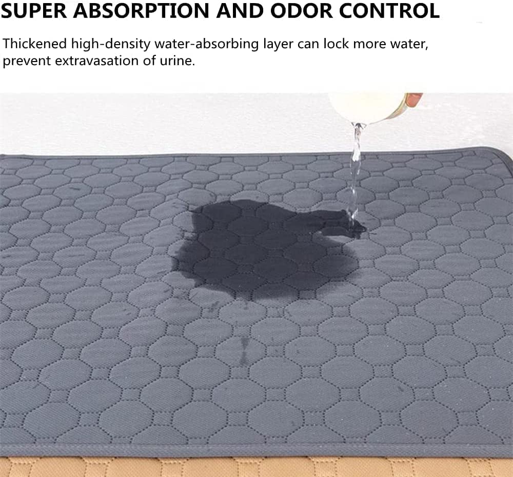 Diseño seguro para mascotas pequeñas con control de olores