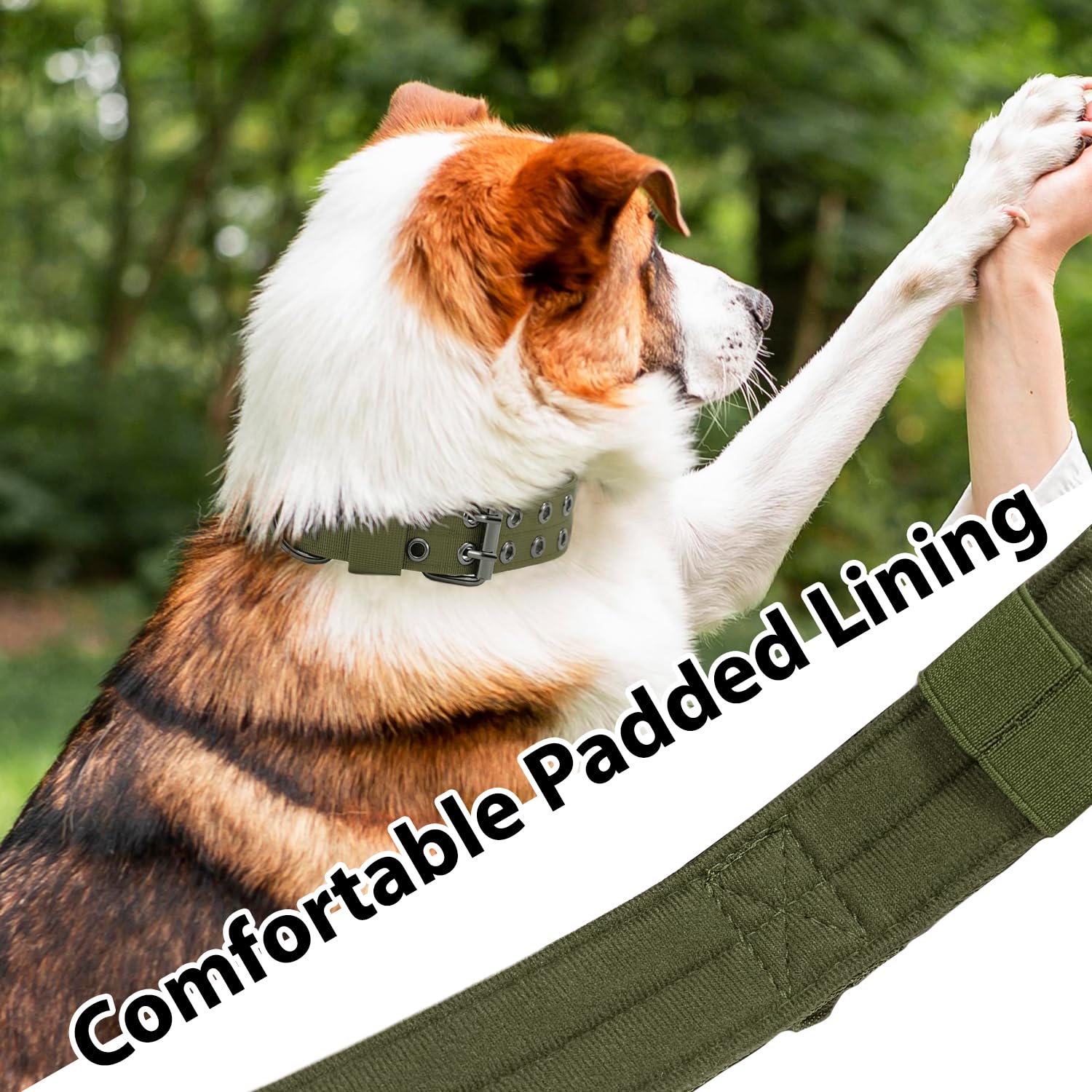 Periflowin collar táctico con asa para manejo en tráfico