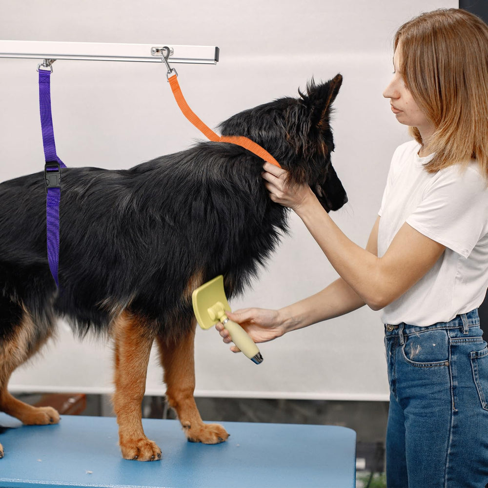 Periflowin uso en casa, práctico para baño de mascotas sin estrés.