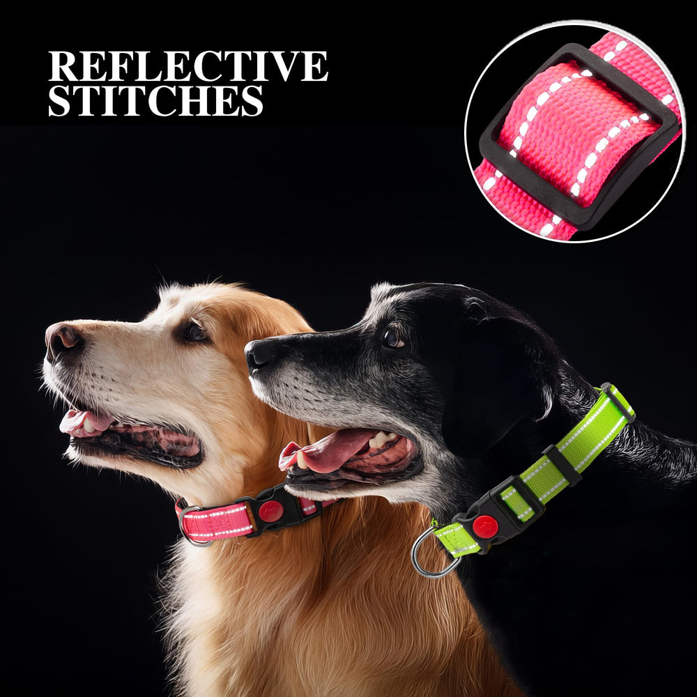 Paseos nocturnos con el collar Perperqer y alta visibilidad
