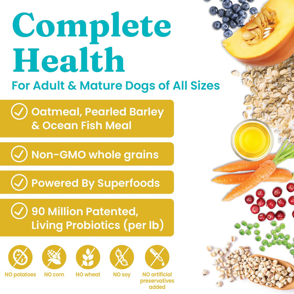 Perro comiendo Solid Gold, escena de comida diaria para promover salud estable.