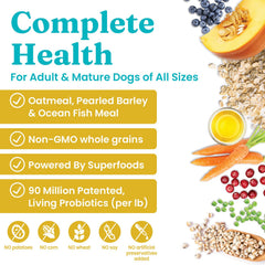 Perro comiendo Solid Gold, escena de comida diaria para promover salud estable.