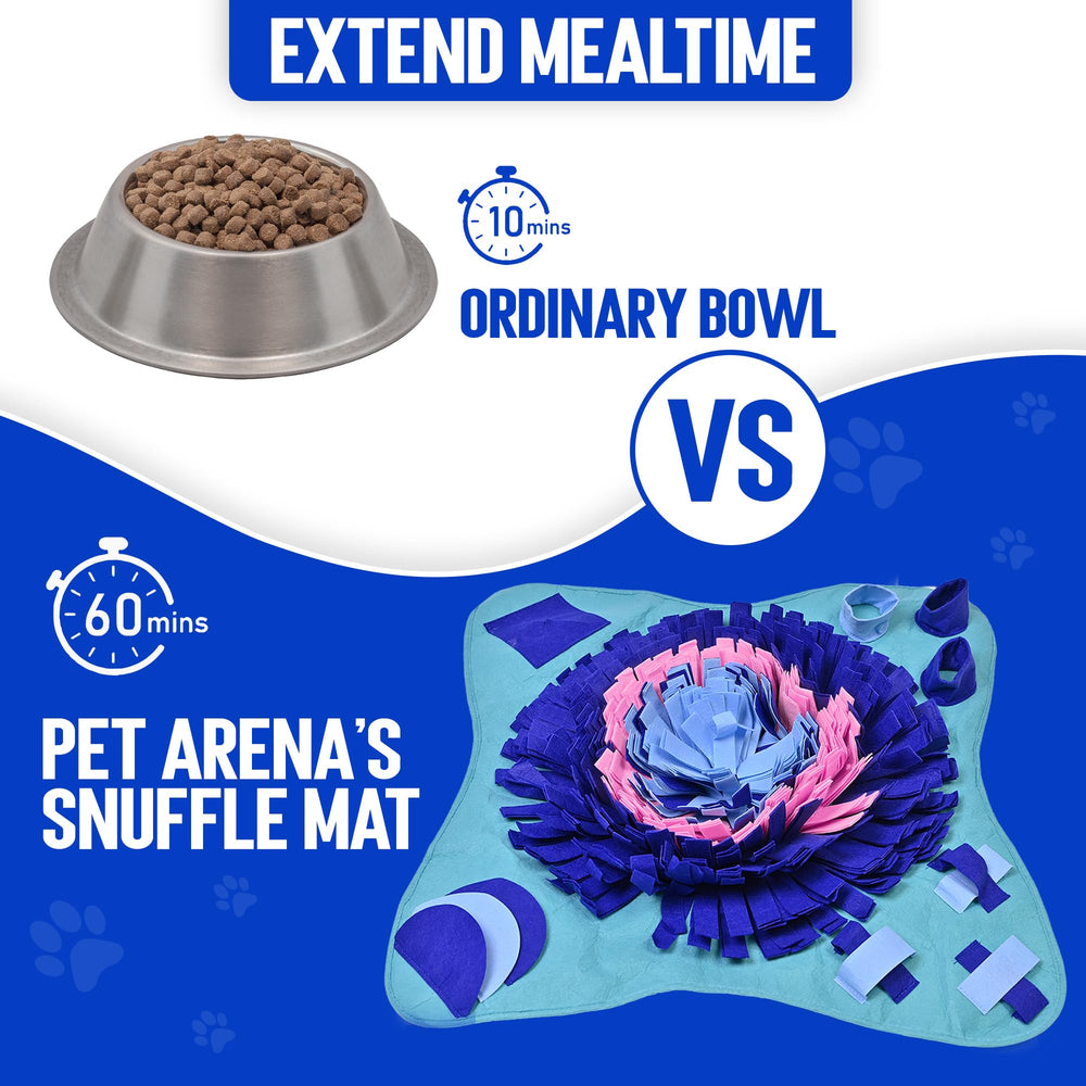 PET ARENA ofrece enriquecimiento sensorial y reducción del aburrimiento diario