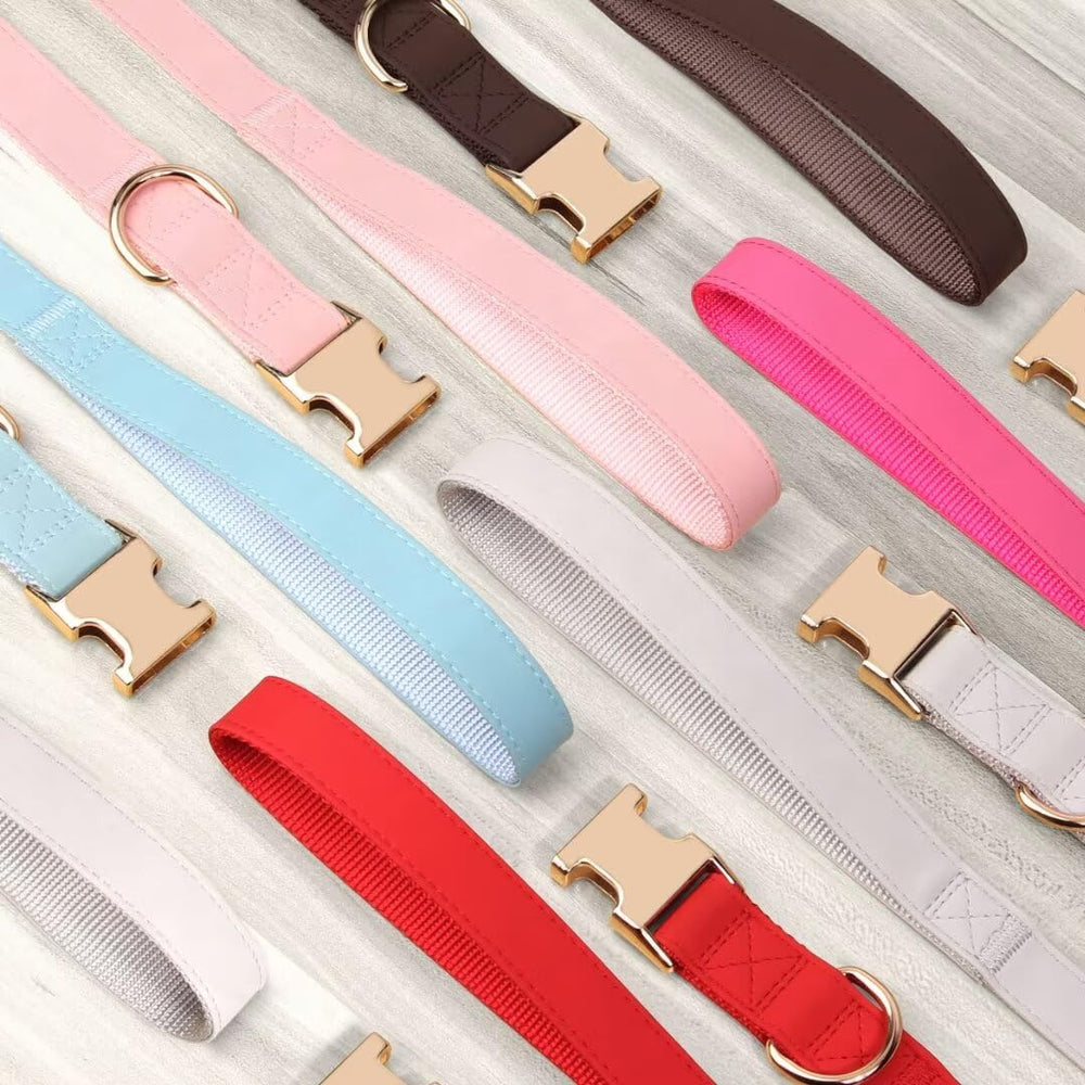 PET ARTIST ajuste talla grande, collar adaptable para razas grandes.