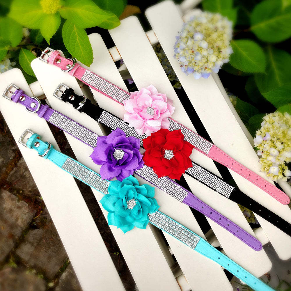 PET ARTIST ajuste de talla 12-14.5 pulgadas para perros pequeños y medianos