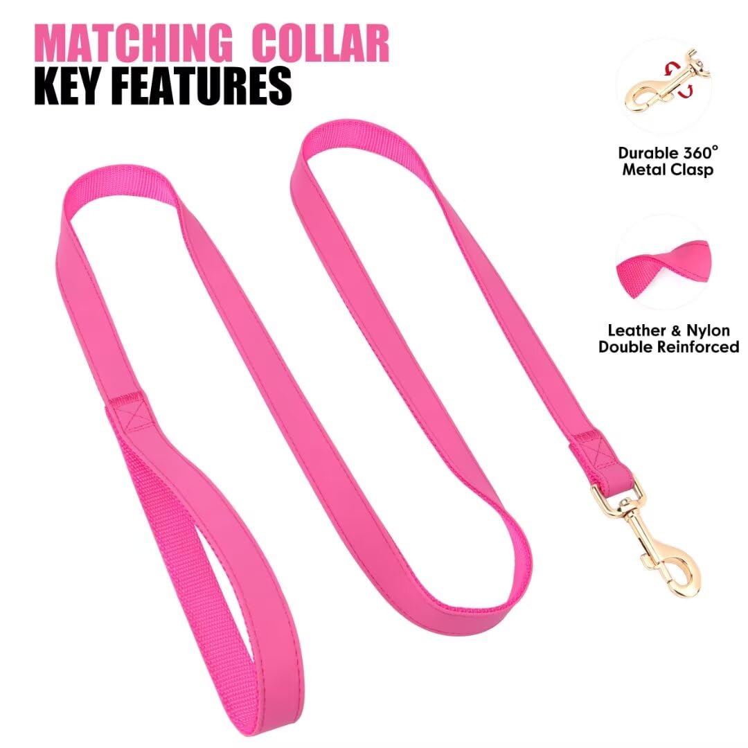 Ajuste total PET ARTIST collar, apto para cuellos pequeños.