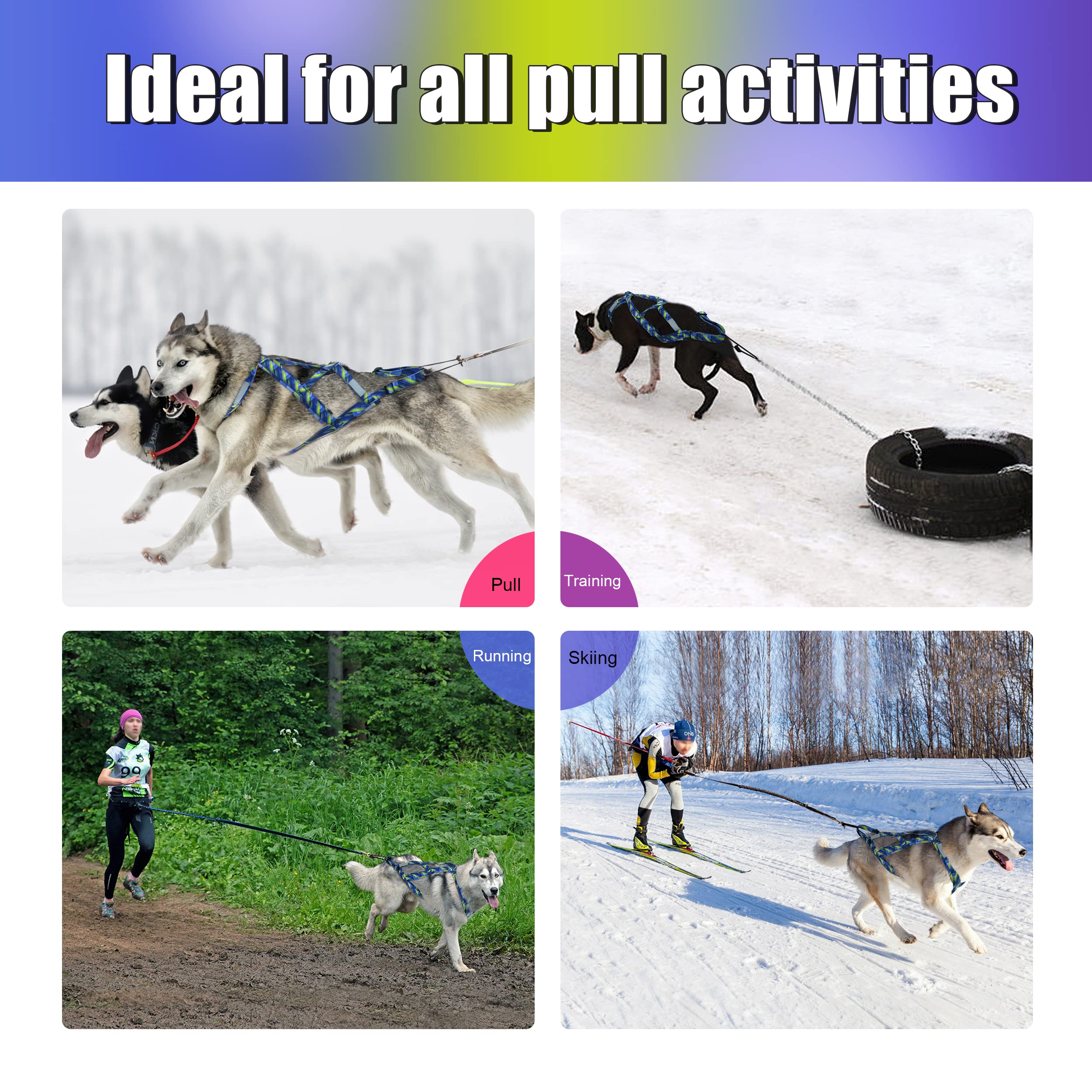 PET ARTIST almohadilla-pecho-proteccion, amortigua impactos durante uso intenso.