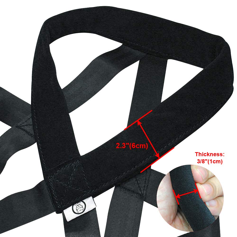 PET ARTIST Almohadillas Cuello Pecho, confortables para paseos y entrenamiento.