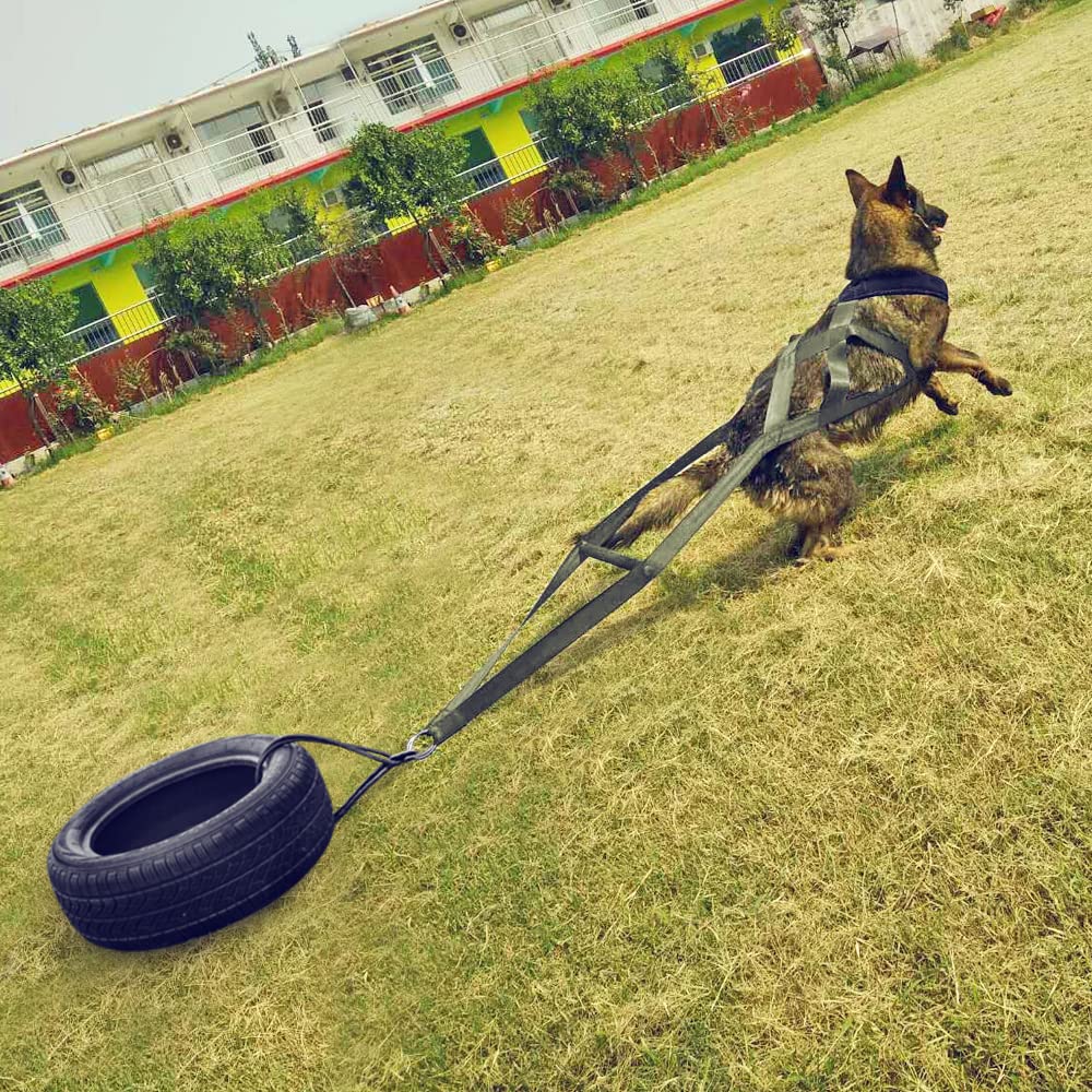 PET ARTIST arnés-ergonomia-confort-verde, diseño que reparte la carga para perros grandes.