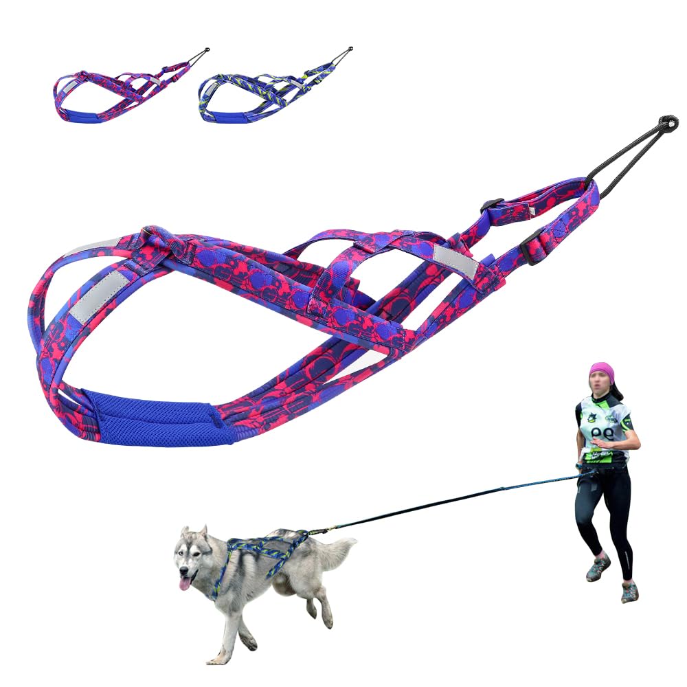 Arnés PET ARTIST para cuello cómodo con ajuste preciso y entrenamiento diario.