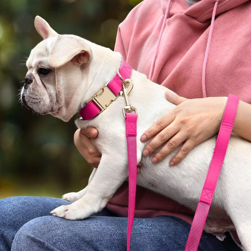 PET ARTIST cierre metalico en collar para mayor durabilidad.