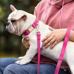 PET ARTIST cierre metalico en collar para mayor durabilidad.