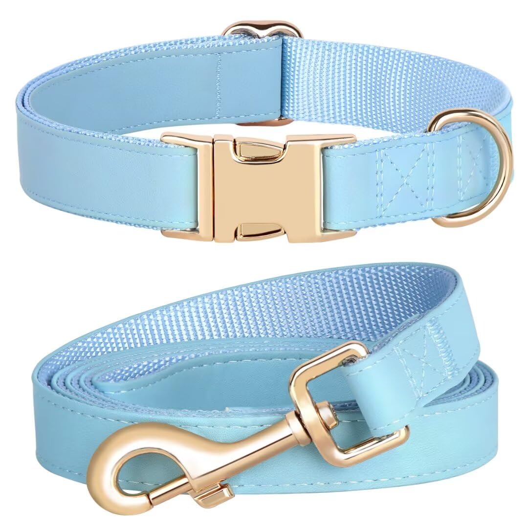 PET ARTIST collar azul cerca: diseño cómodo y colores brillantes para destacar durante paseos