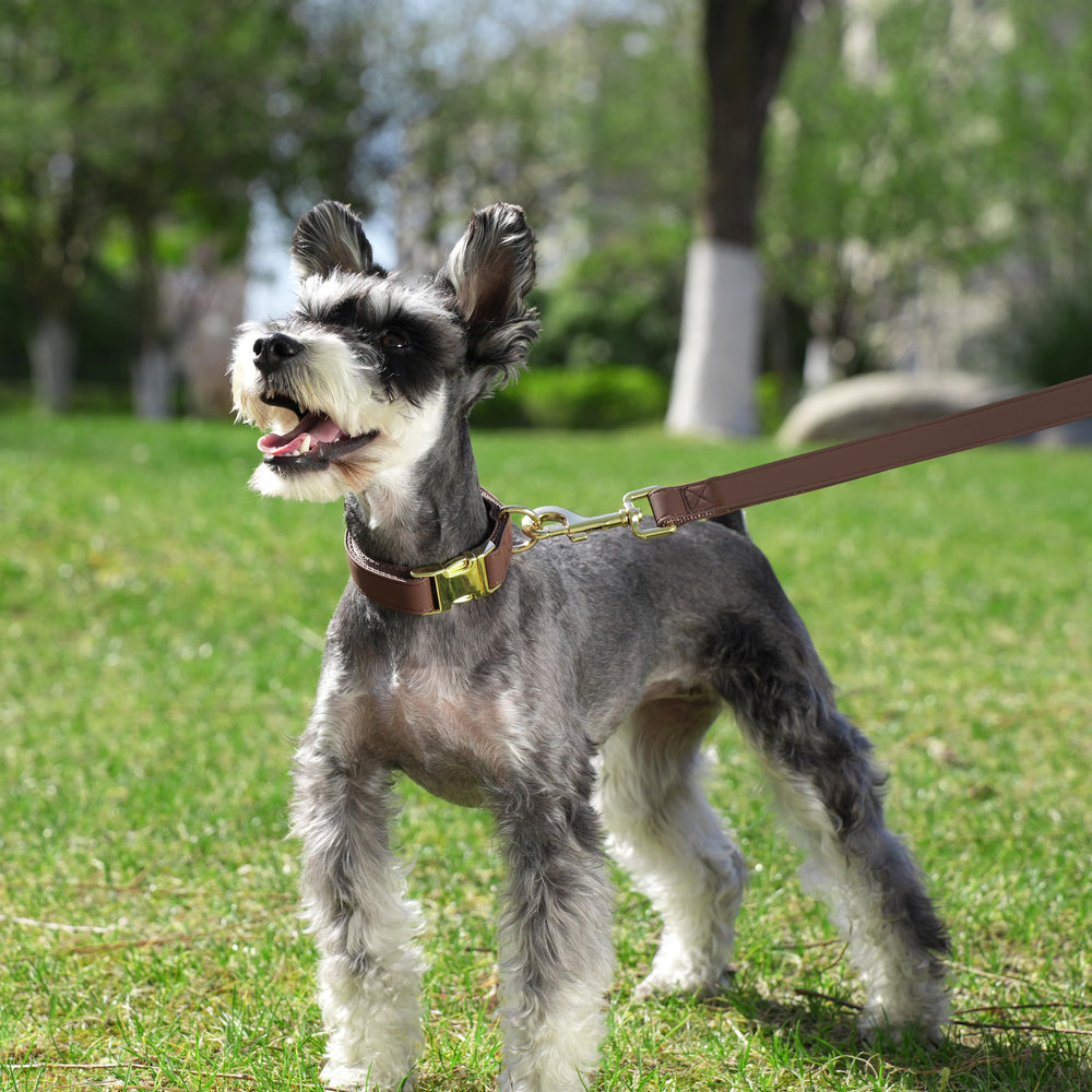 PET ARTIST detalle cuero PU suave con costuras reforzadas para mayor durabilidad