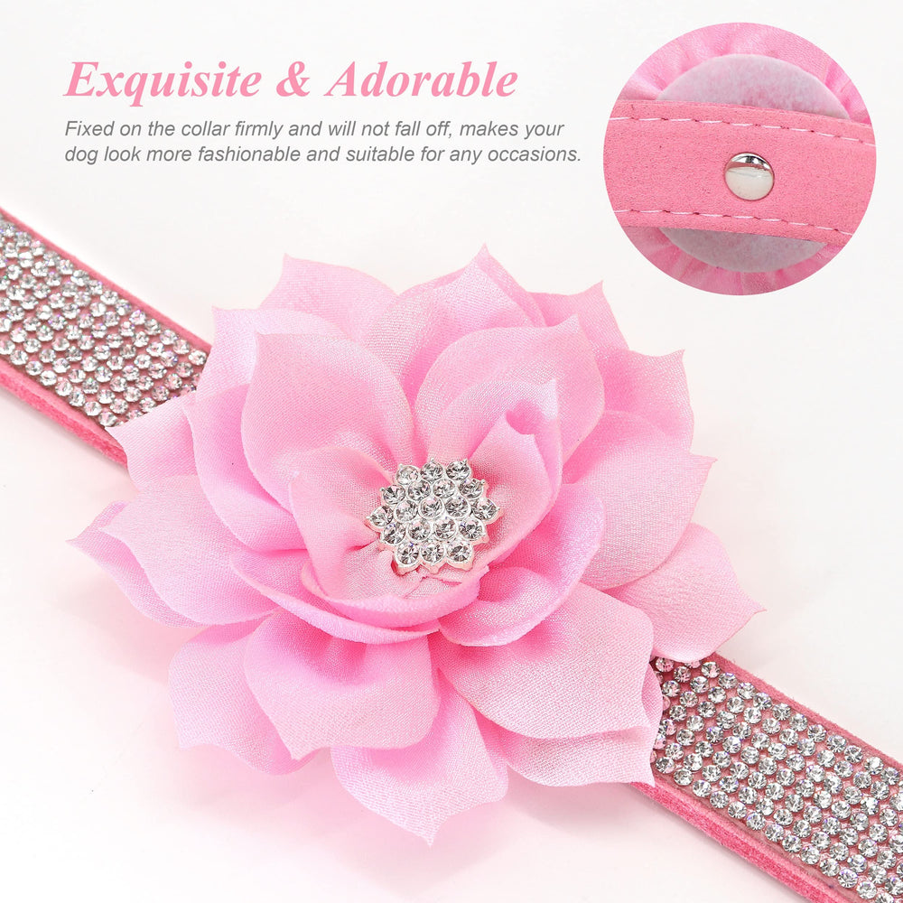 PET ARTIST collar de gamuza suave para uso cotidiano