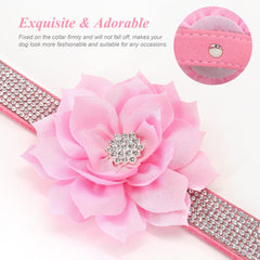 PET ARTIST collar de gamuza suave para uso cotidiano