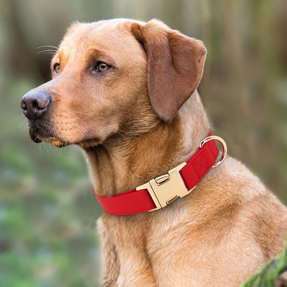 Collar PET ARTIST con hebilla metalica rapida, seguro para perros activos