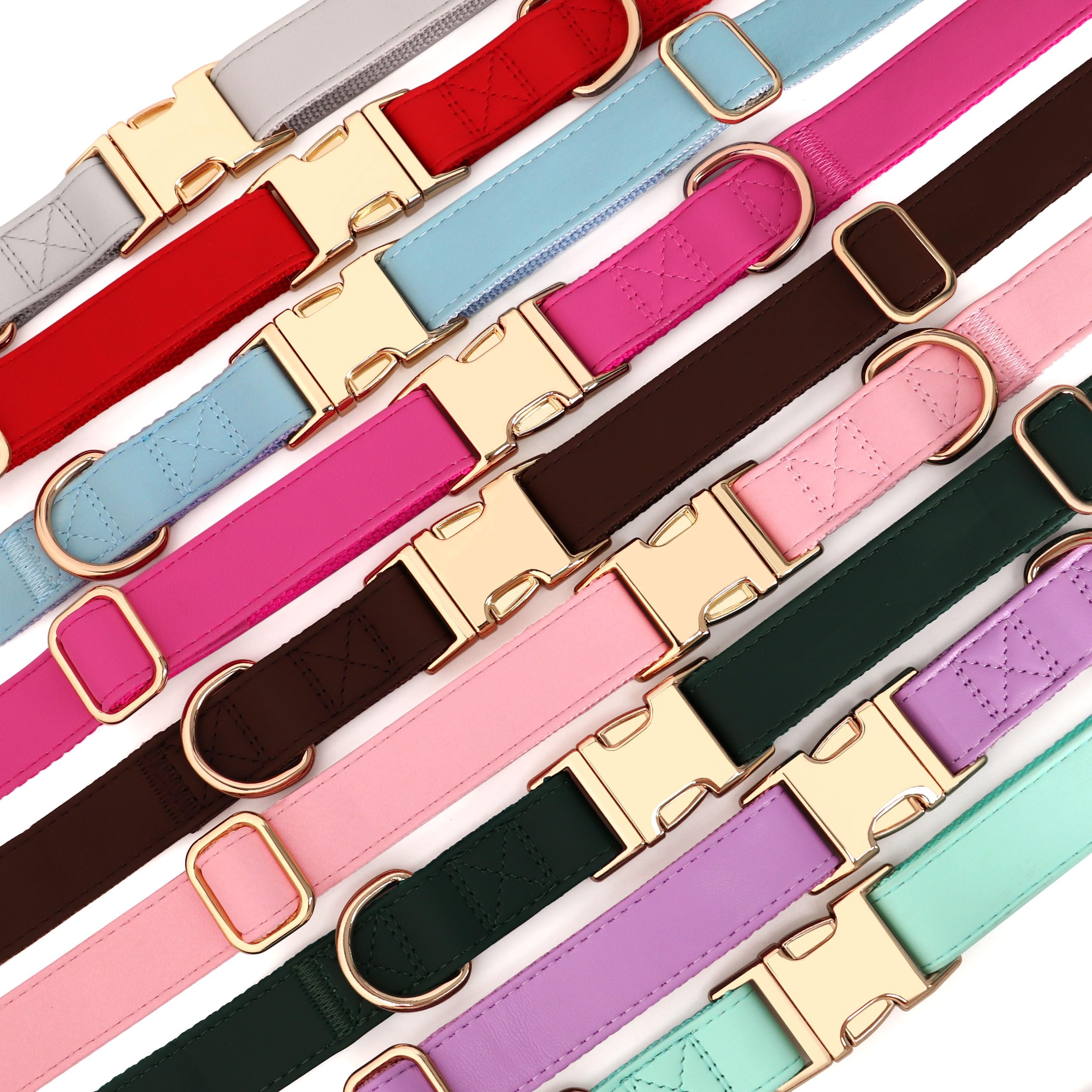 Nueve colores brillantes para expresar la personalidad de tu perro.
