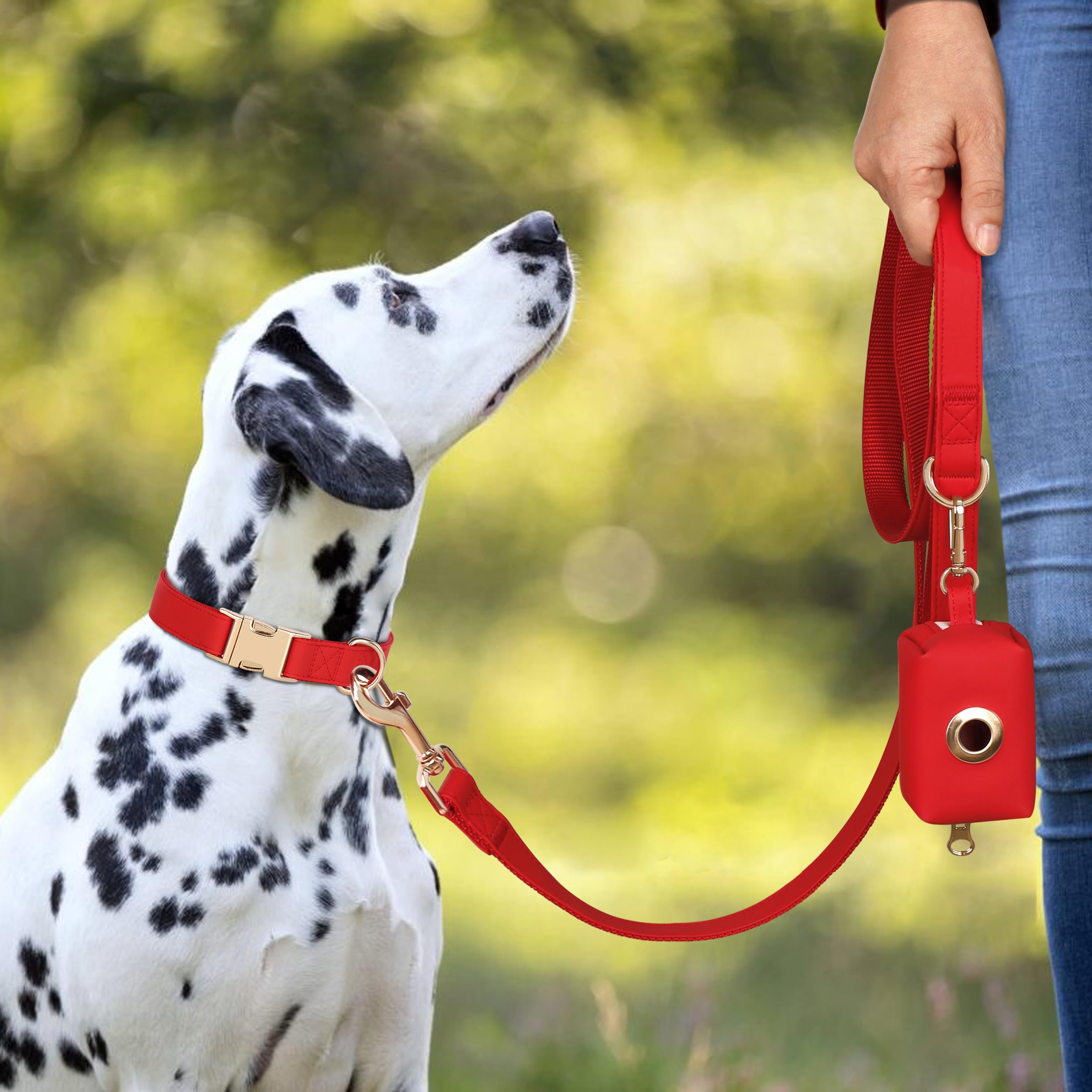 PET ARTIST collar ajustable con nylon acolchado para mayor confort.