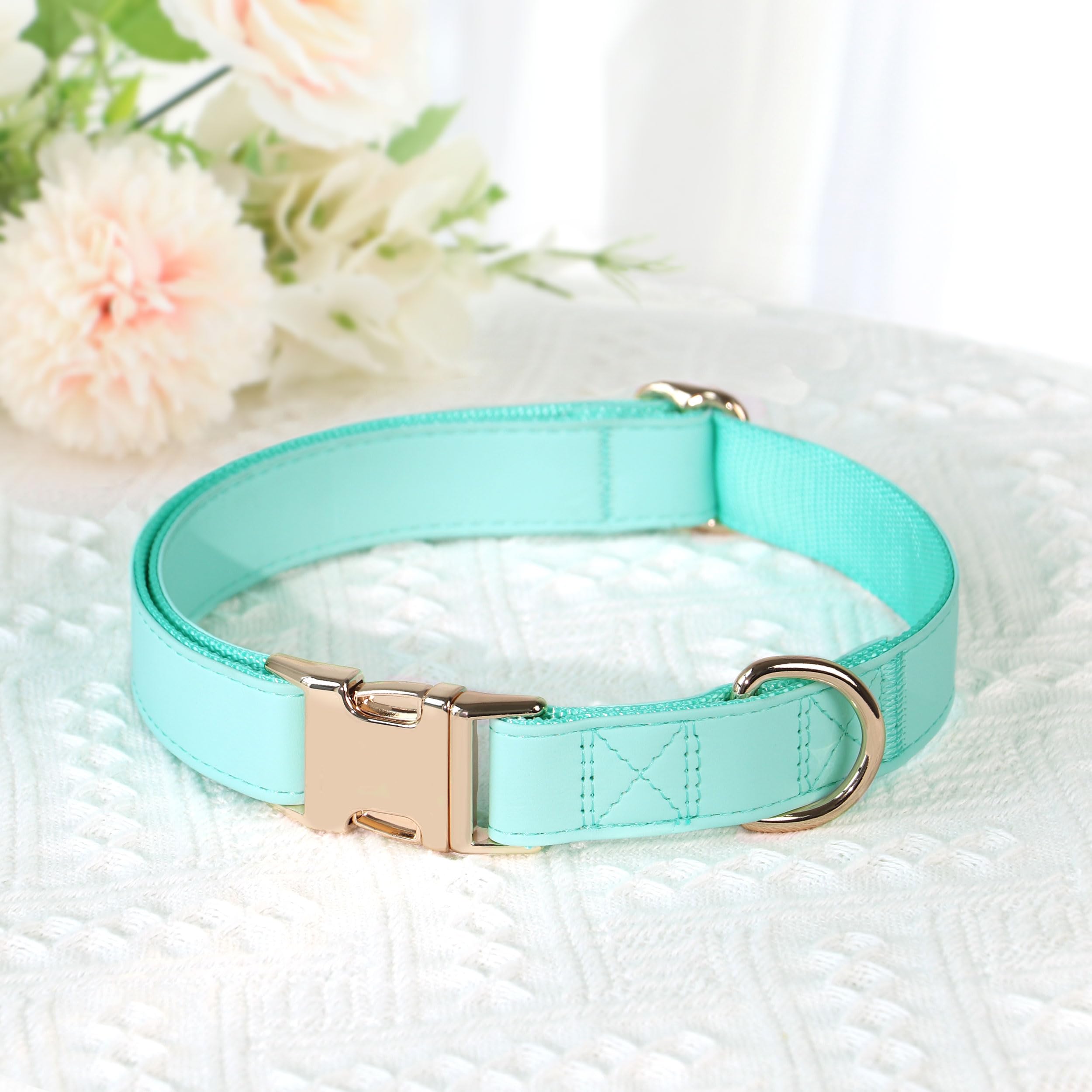 Colección PET ARTIST con conjuntos a juego para collar y correa.