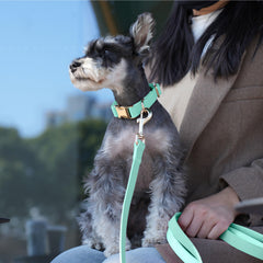 Collar PET ARTIST con costuras reforzadas y cuero PU duradero para uso diario.
