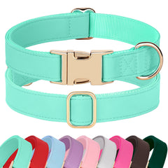 Collar PET ARTIST de cuero PU suave en color brillante con hebilla oro rosado.