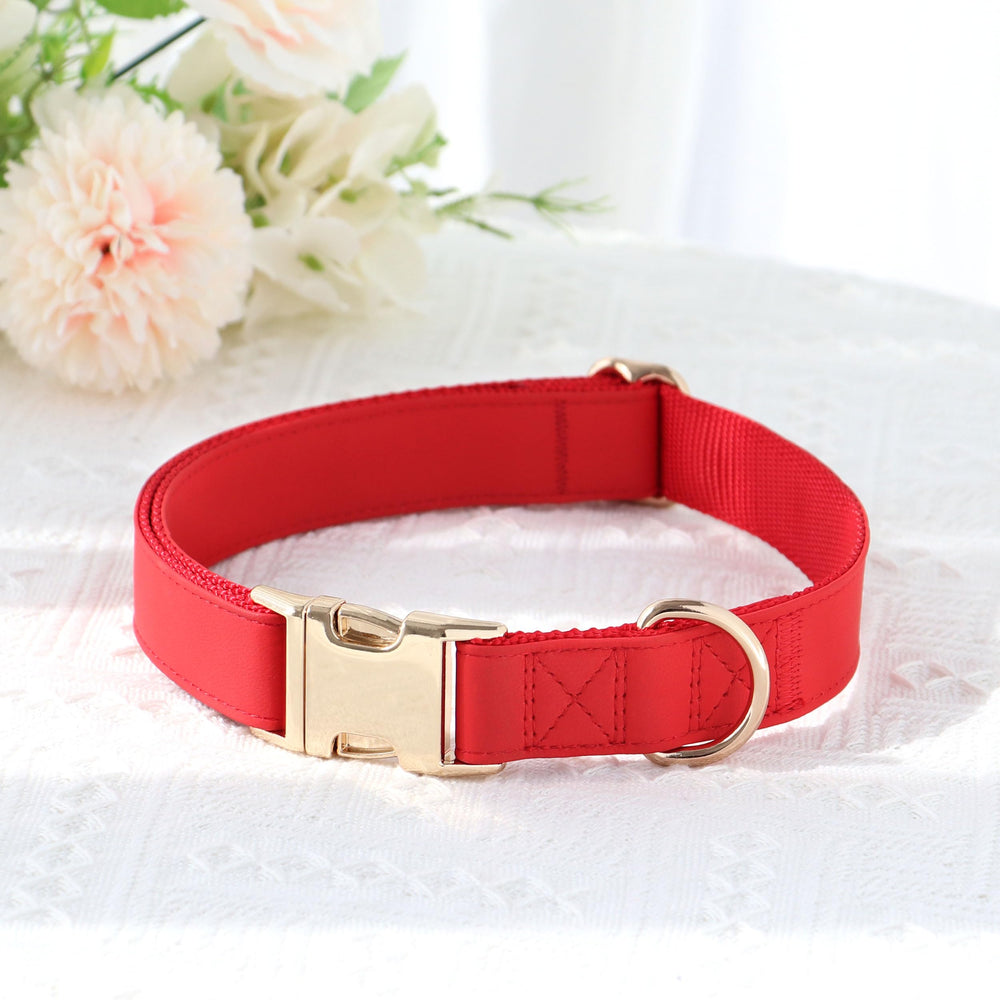 PET ARTIST diseño ligero y duradero para caminatas diarias.