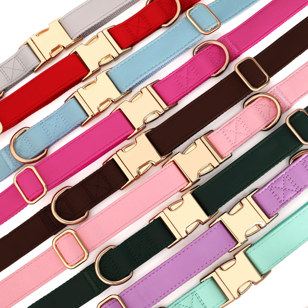 PET ARTIST collar para uso diario y salidas al exterior.