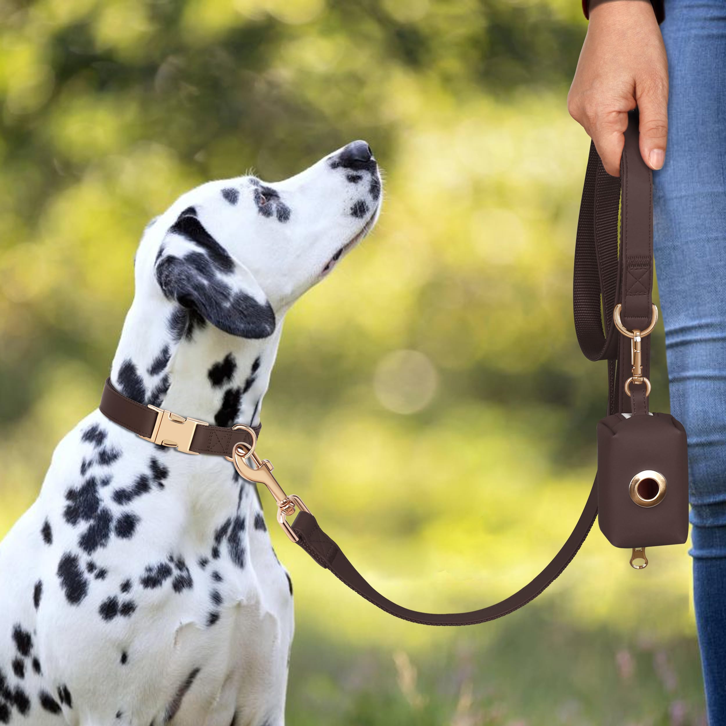 Collar PET ARTIST cierre rápido y anilla en D reforzada para seguridad