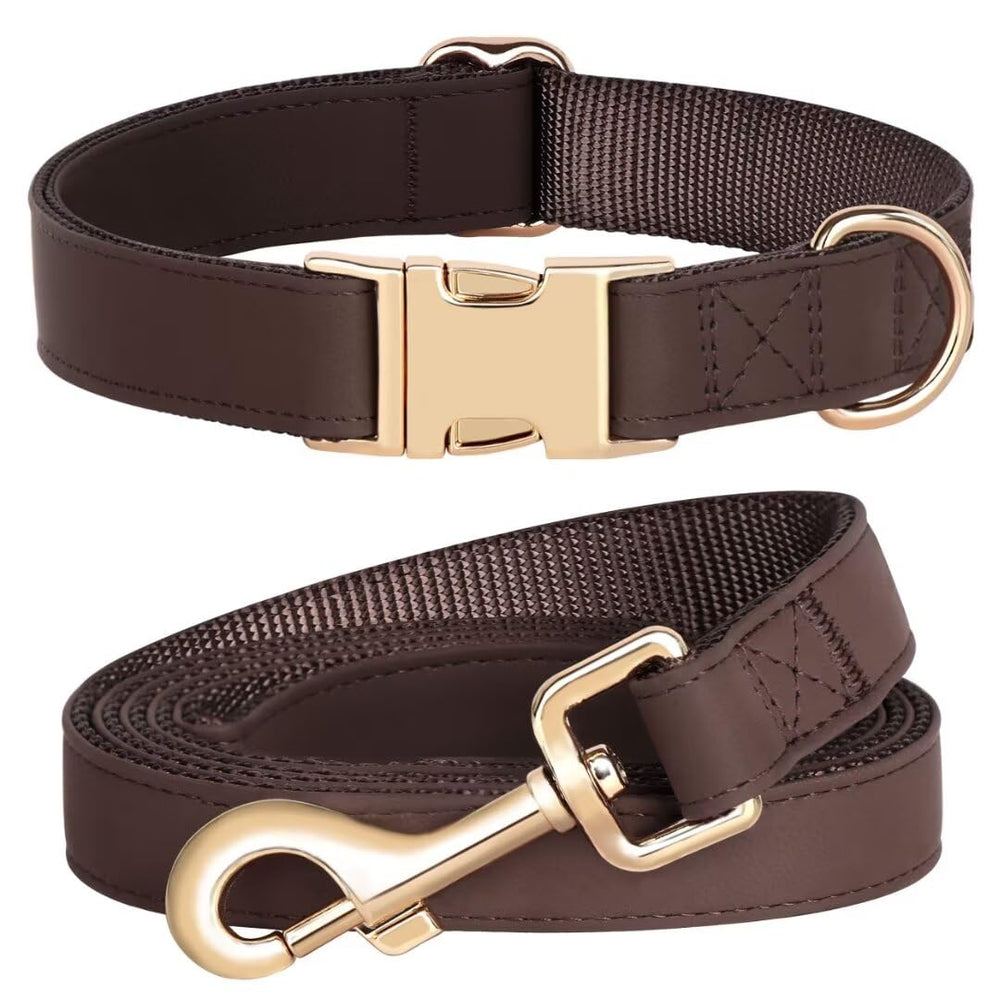 PET ARTIST conjunto collar y correa con colores brillantes para paseos con estilo