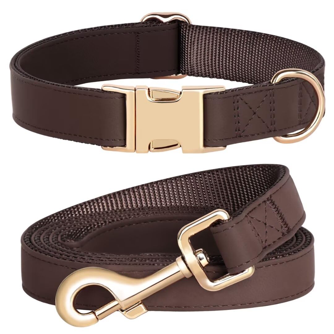 PET ARTIST conjunto collar y correa con colores brillantes para paseos con estilo