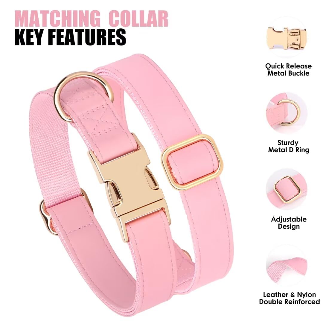 Conjunto collar y correa PET ARTIST para un estilo cohesivo