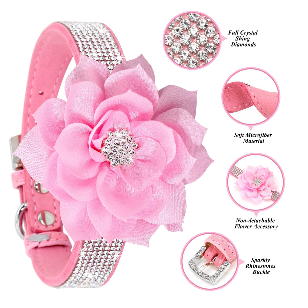PET ARTIST conjunto collar y correa para salidas versátiles