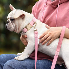 Correa PET ARTIST PU Rosa de 5 pies para control suave