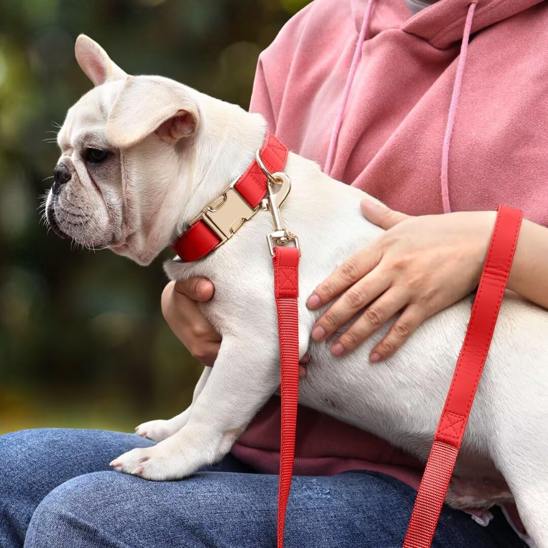 PET ARTIST correa roja general, combinación elegante para paseos y salidas.