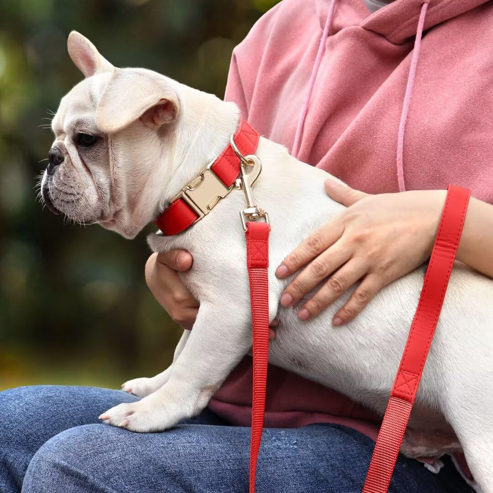 PET ARTIST correa roja general, combinación elegante para paseos y salidas.