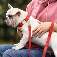 PET ARTIST correa roja general, combinación elegante para paseos y salidas.