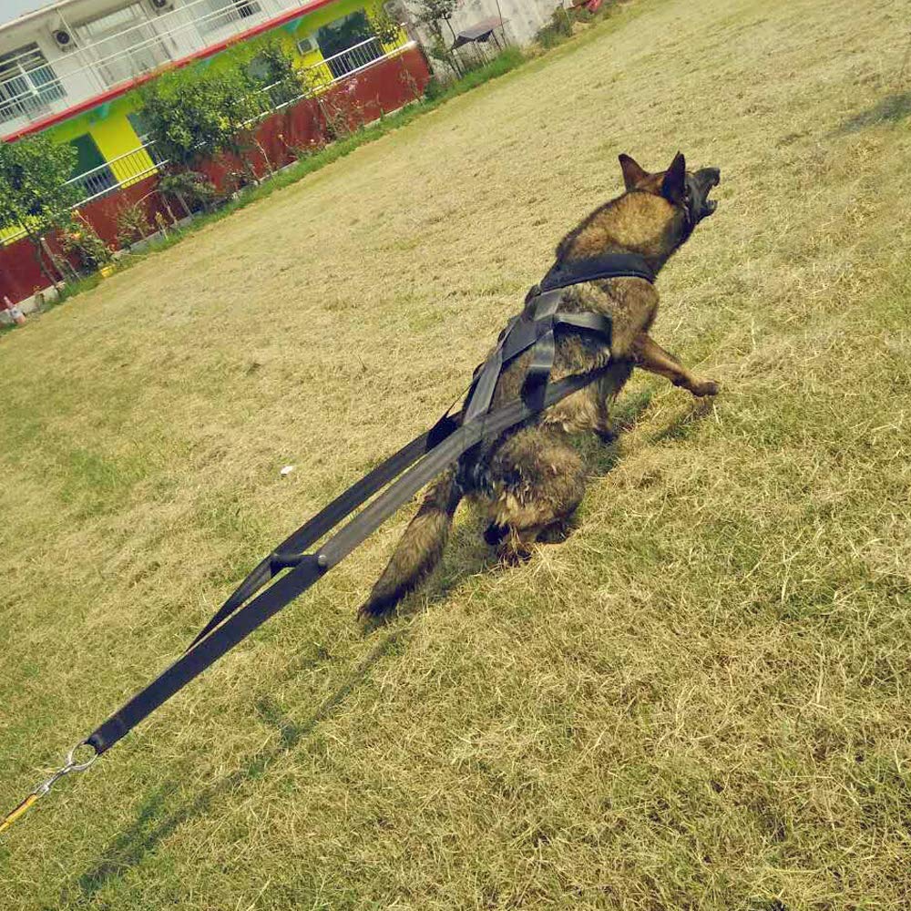 PET ARTIST Talla 80 cm, arnés cómodo para perros grandes.