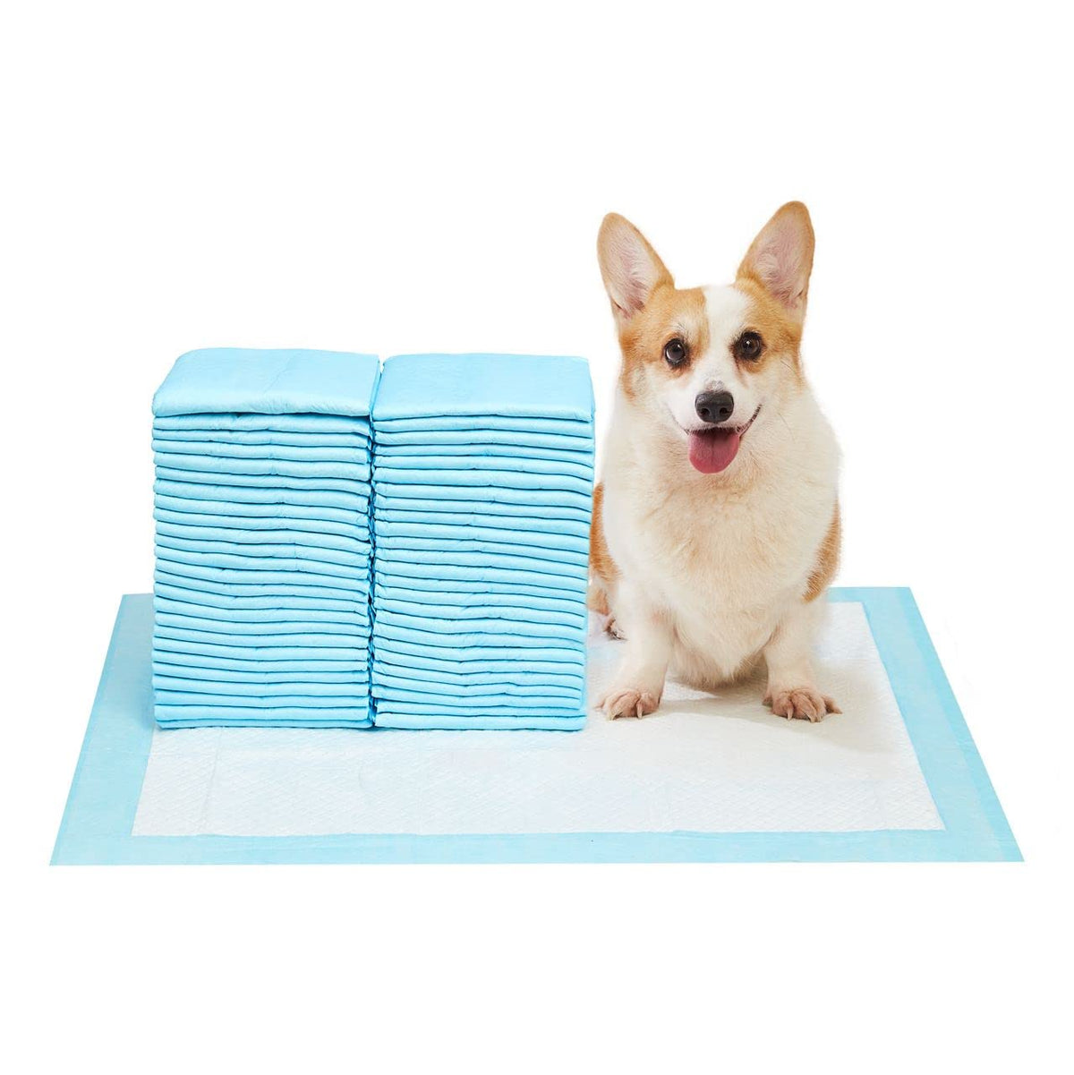 PET AWESOME tapetes 23x16, ajuste perfecto para perros pequeños.