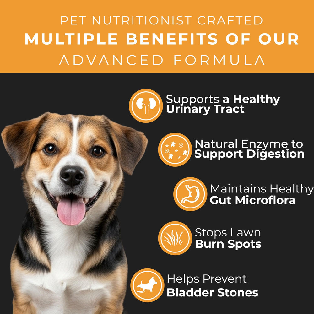 Pet Chef Nutrition batata y Kona Berry, ingredientes naturales para defensa inmunitaria.