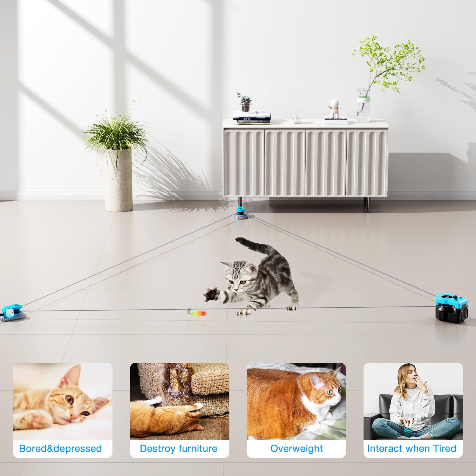 Pet Deluxe Accesorios Plumas para mayor agilidad y acecho en gatos