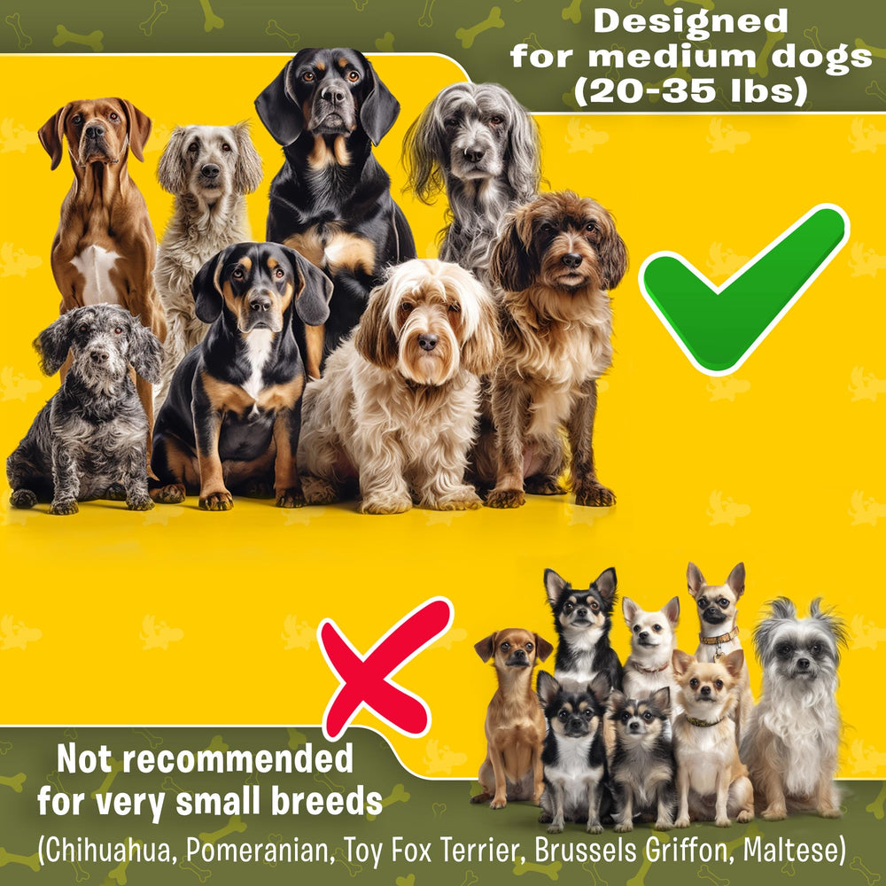 Pet Dreamland: cinturón manos libres para paseos sin esfuerzo