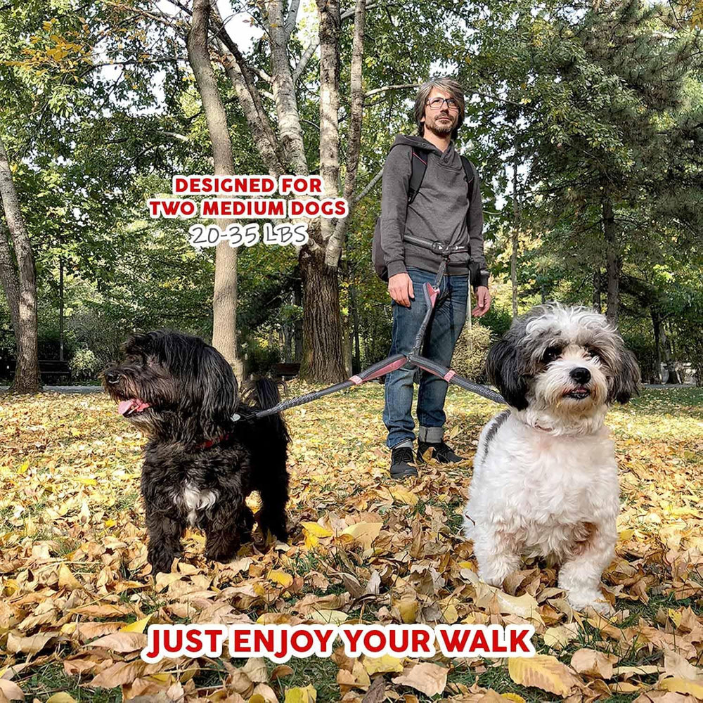 Pet Dreamland: diseño ergonómico para actividades al aire libre