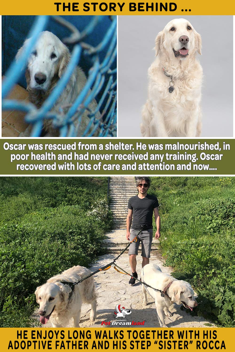 Pet Dreamland: uso diario cómodo para dos perros