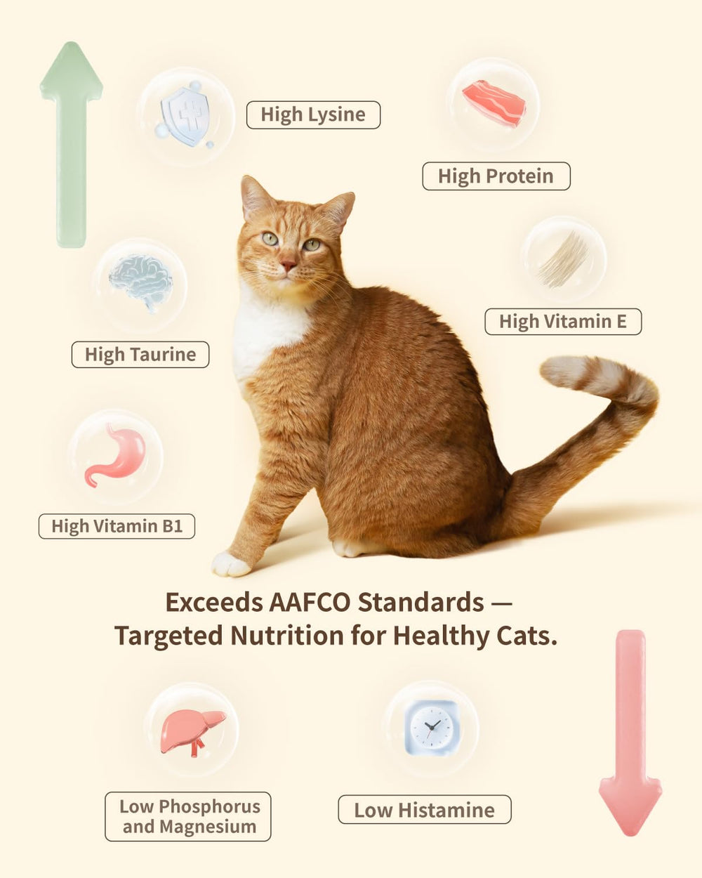 PET-EVER PureFeast bolsa de 14 onzas para gatos, almacenamiento cómodo y porciones.