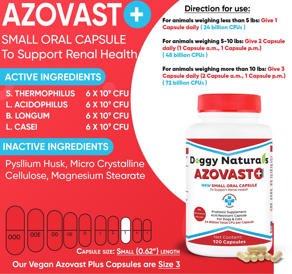 Azovast Plus: etiqueta de cápsulas, cuatro probióticos beneficiosos para la función renal.