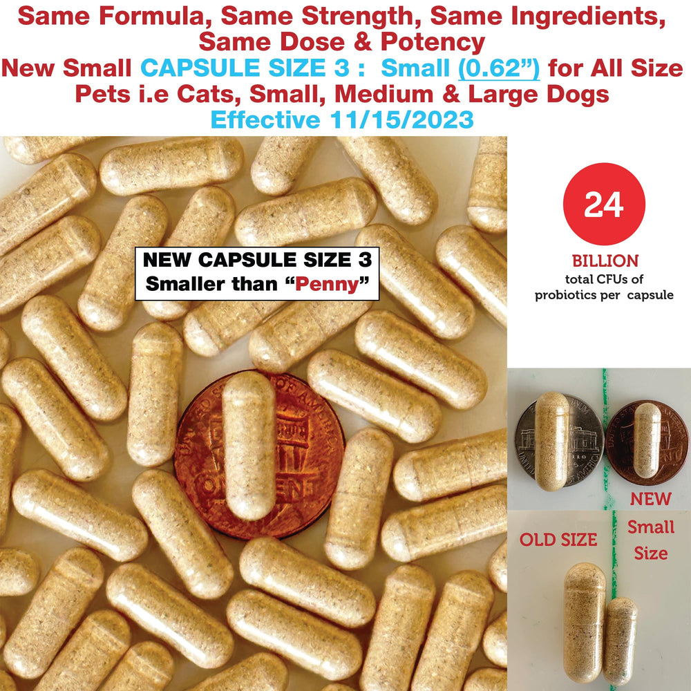 Cápsulas Azovast Plus en primer plano: ingredientes de calidad humana en una instalación cGMP en EE. UU.