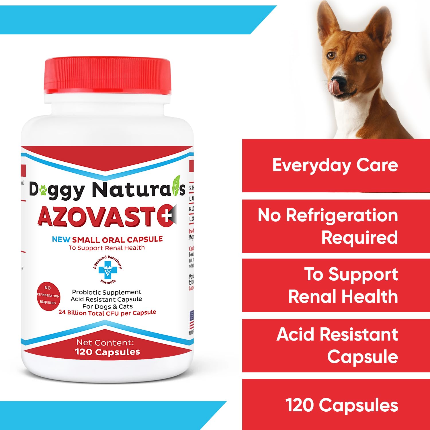 Gato relajado: complemento práctico para dueños que cuidan la función renal.