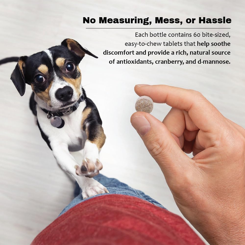 Pet Health Solutions Cranberry D-Mannose: sin colorantes artificiales.